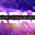 5RV Digital