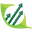 Advance Business Services