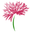 Blossom Florist