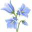 Bluebell Home Calls