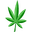 BudChampion