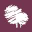 Callum Robertson Funeral Directors