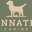 Canine Fellowship