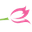 Chelsea Flowers