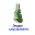 Douglas Land Surveys Ltd