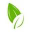 Elliott Environmental Drainage Ltd