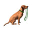 Happy Waggy Tails