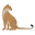 Heritage &amp; Leopard Ltd