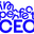 Imperfect CEO