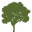 Lancashire Tree Services