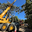 Murphy's Ground Maintenance Ltd
