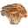 Mushrooms For Life
