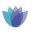 Napier Homecare Services Ltd