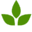 Olivastu Ltd.