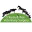 O'Reilly &amp; Fee Veterinary Surgery - Armagh