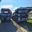 Pat Taylor Garden Services Ltd