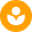 Prime Steam London - Carpet and Upholstery Cleaning