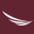 Qatar Airways Flight