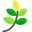Respect Direct Funeral Services