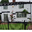 Sam Graham Painting &amp; Decorating