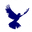 Security Care Limited