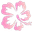 Spirit Florist