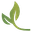 SPS Pouches Ltd
