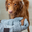 Star Paws Dog Grooming @HazelGrove