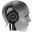 Steel Head Digital Media