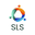 Successful Learning Solutions