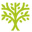 The Manchester Tree Company
