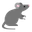 The Pied Piper Pest Control Company