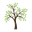 Treecology Arboriculture