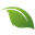 Trusted Landscaper